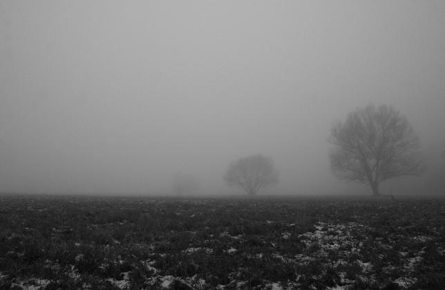 Villy Fog