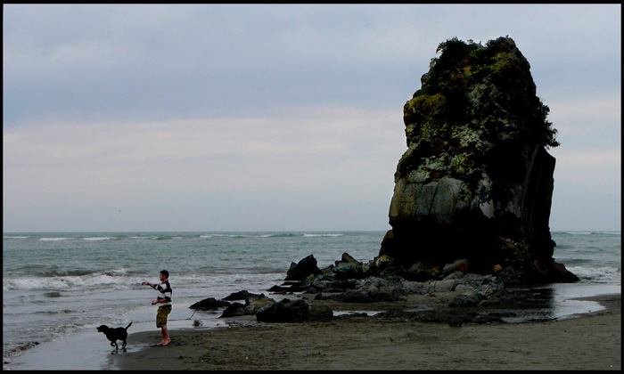 SHAG ROCK