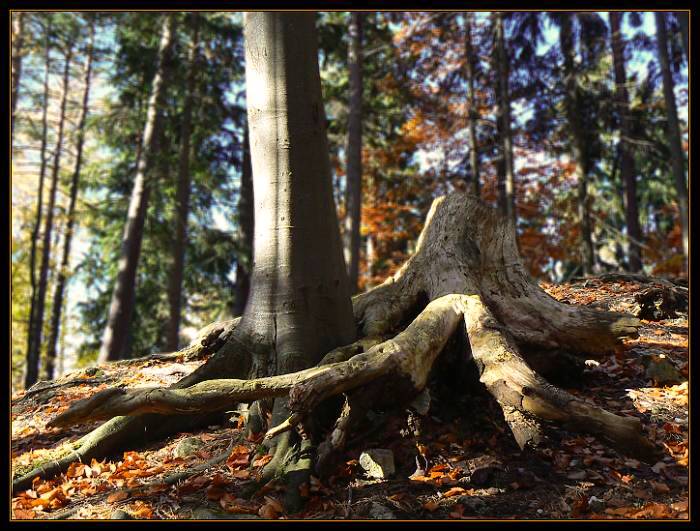 Smrt nás nerozdělí