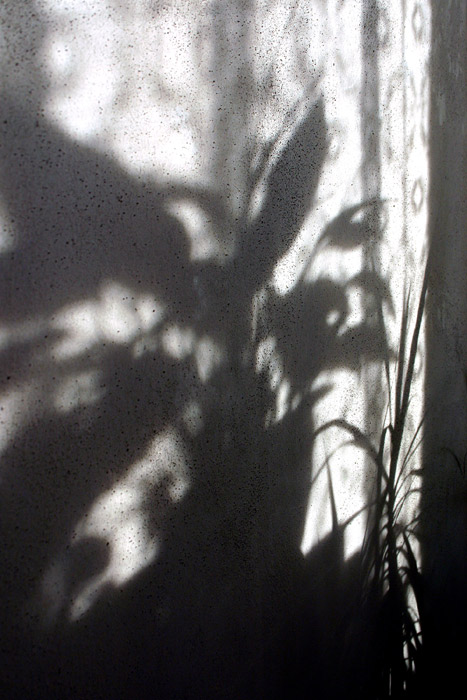 shadows