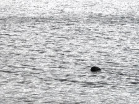 jezero Loch Ness
