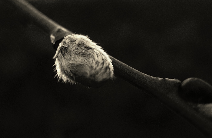 Ještě není...jaro!