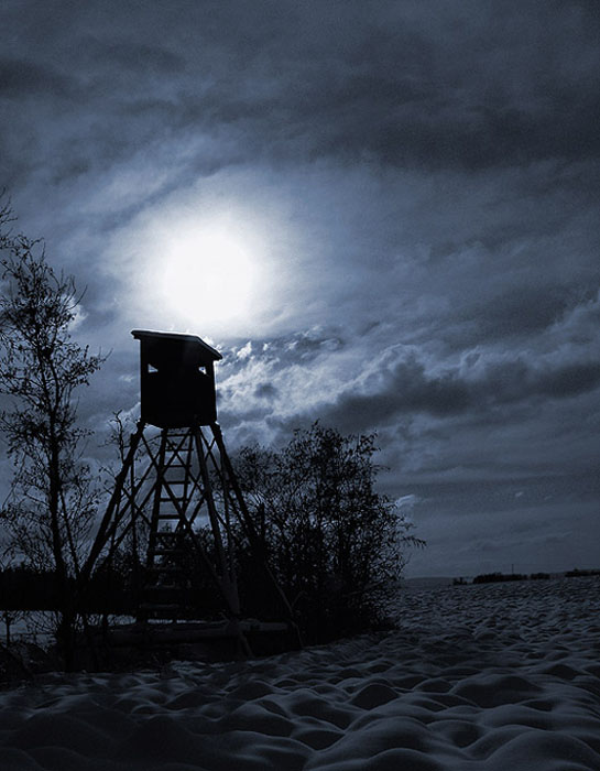 Fear of the dark