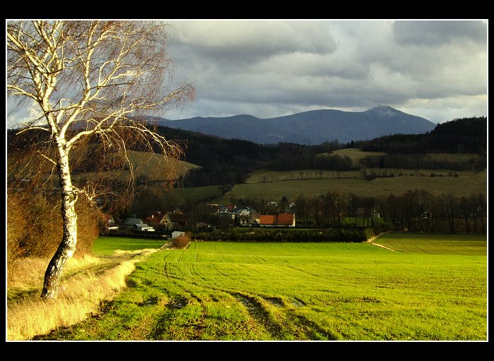 Bříza pod Beskydem