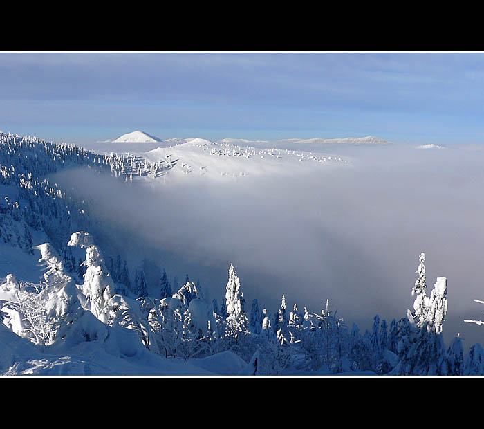 minulorocne zastavenie