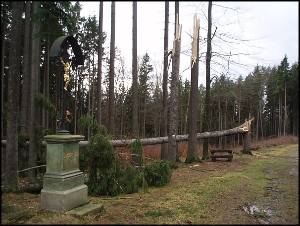 Když vichřice láme stromy