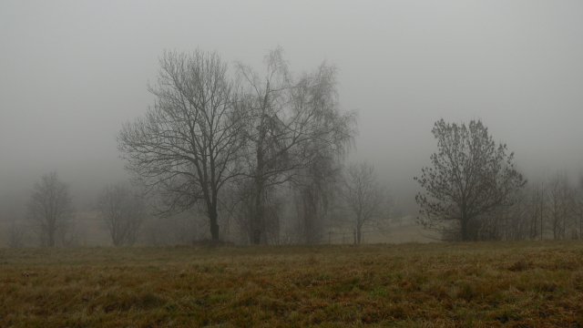 Zvláštní druh zimy