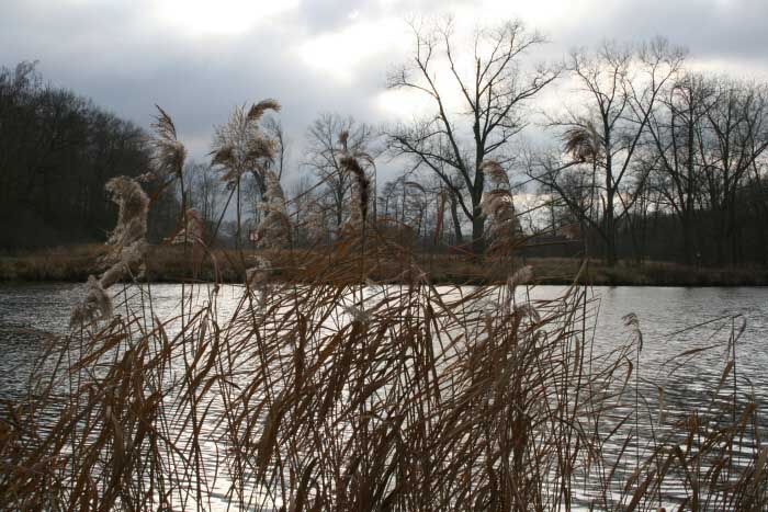 Prosinec 2006 u Labe