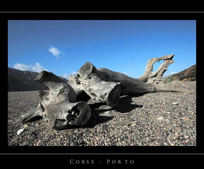 Corse - Porto