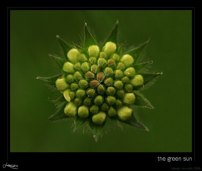 the green sun