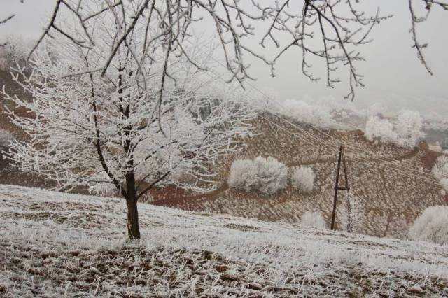 Pani Zima na hriňovských lazoch /foto:Kečkár/