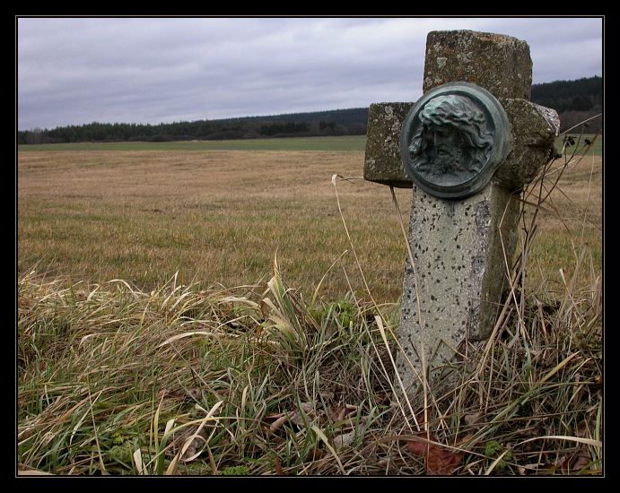 Světská sláva, polní tráva