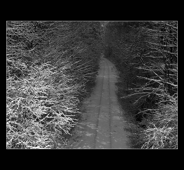 ..:: Snowy Railway ::..