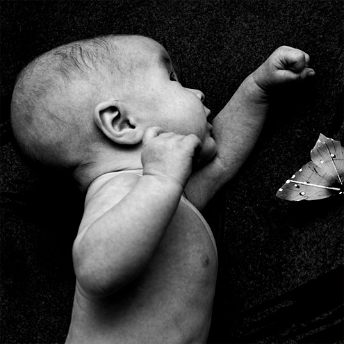 o Denisovi a motýľovi .