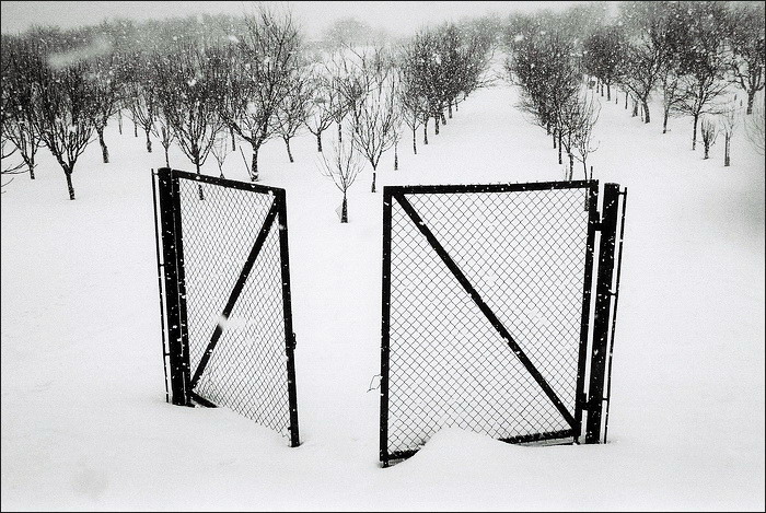 Kudy na sousedovic hrušky