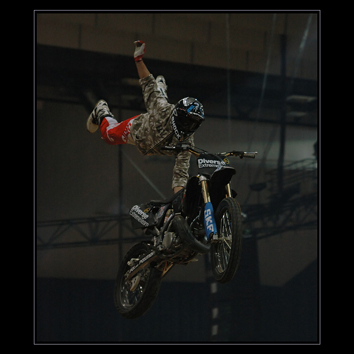 Skokan halový (skokandus motorkus)