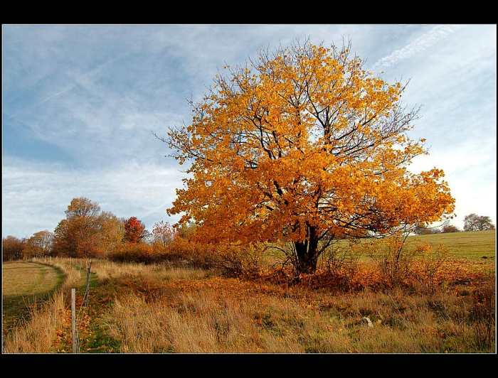 nad Bečovem (okr. Chomutov)