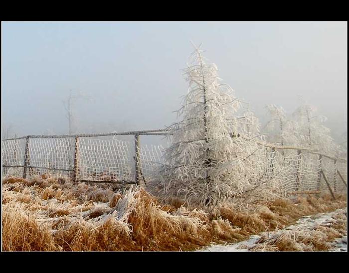 zima vystrkuje drápky