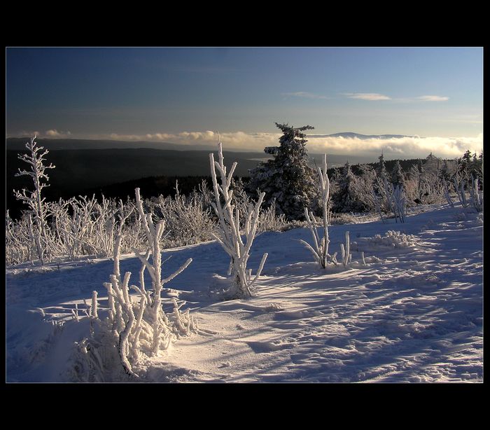 30.12....pohled z Šerlichu na Kralický Sněžník