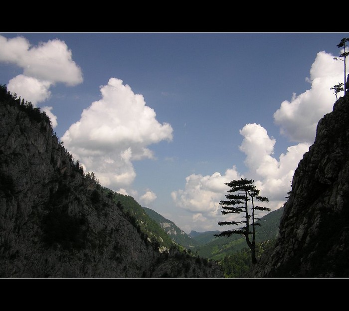 proti gustu......aneb samorost:-)