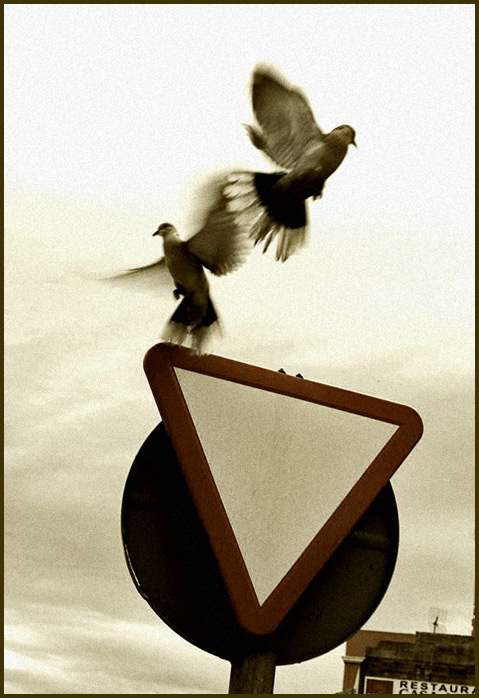 give way