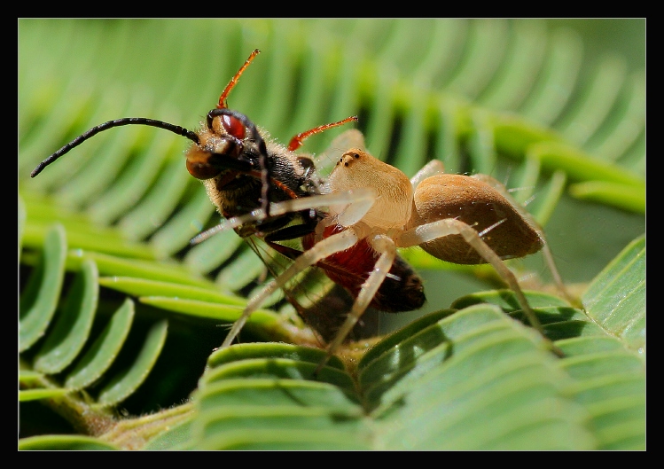 Živá a neživá příroda