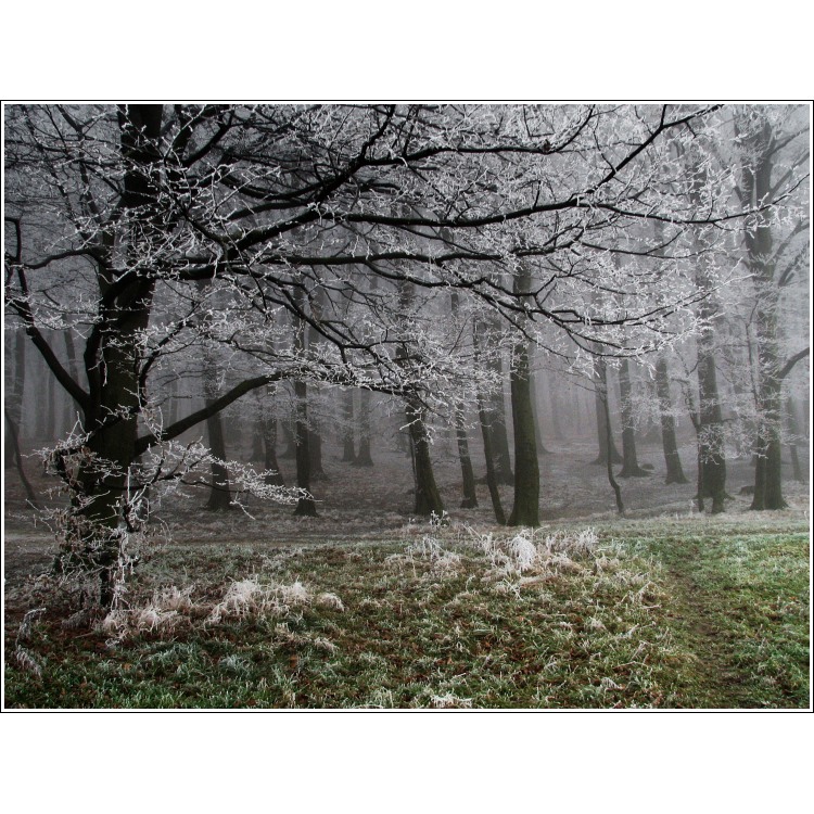 Túlavým chodníkom  II.