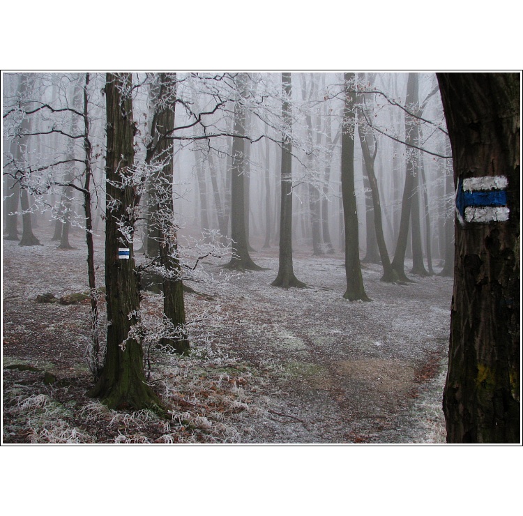 Túlavým chodníkom  III.