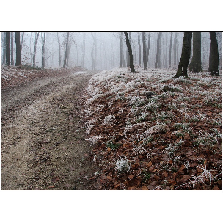 Túlavým chodníkom  IV.