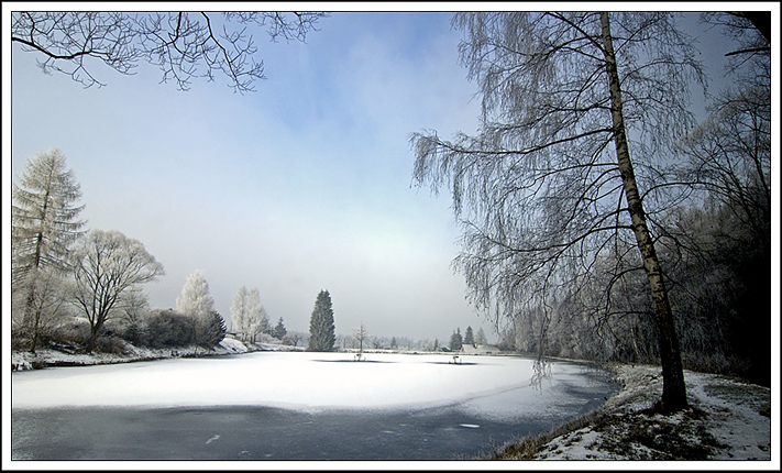divišovský rybníček