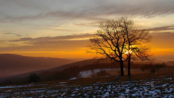 Lesná II.