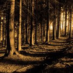 Odbarvený a přibarvený