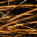 Chaos v myšlenkách