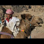 Malý beduin a jeho zviřátko