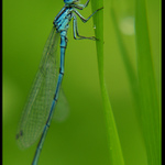 Co na mě čučíš..