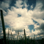 kde se trhají mraky