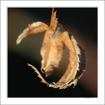 Zimu mám na háku..