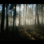 mlha stokrát jinak 007