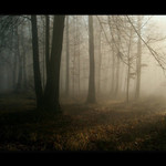 mlha stokrát jinak 008