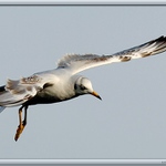 Létat je tak snadné :-)