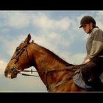 kupodivu kůň a kupodivu s jezdcem