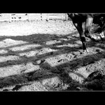 překroč svůj stín