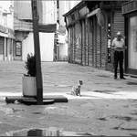 Terst; neděle 8:25:30