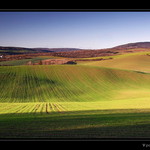 V podvečerním světle