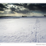 Když jsou stopy zavátý ...