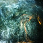 Krocení ptáka Bouřliváka