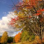 Barvy podzimu 06 (1)