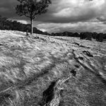 ~ Adelaidske planiny ~