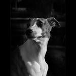 \'\'Zůstaň se mnou\'\'