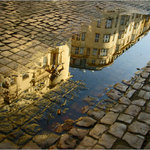 Pražská kalužová